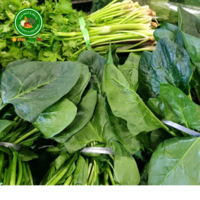 Palak Saag पालक का साग